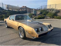 1979 Pontiac Firebird Trans Am (CC-1930770) for sale in Cadillac, Michigan