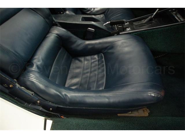 1981 Chevrolet Corvette (CC-1938020) for sale in Cincinnati, Ohio