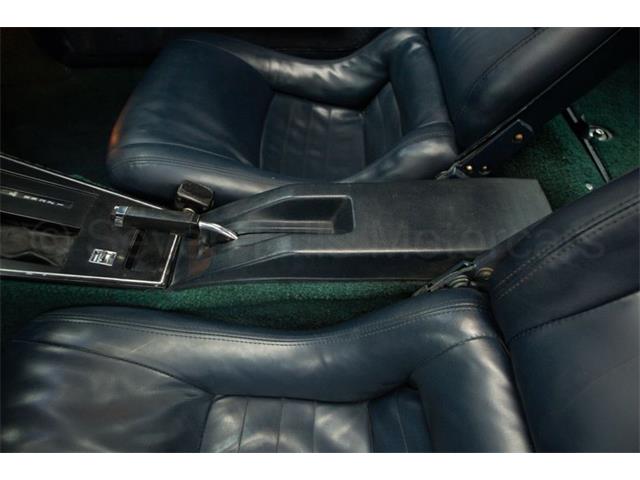 1981 Chevrolet Corvette (CC-1938020) for sale in Cincinnati, Ohio