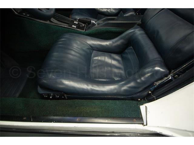 1981 Chevrolet Corvette (CC-1938020) for sale in Cincinnati, Ohio