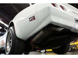 1981 Chevrolet Corvette (CC-1938020) for sale in Cincinnati, Ohio