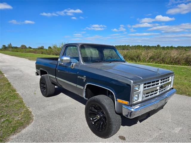 1987 Chevrolet Pickup (CC-1930087) for sale in Cadillac, Michigan