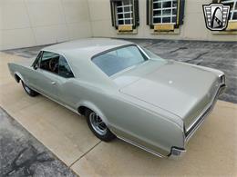 1967 Oldsmobile 442 (CC-1939875) for sale in O'Fallon, Illinois