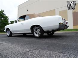 1966 Chevrolet Chevelle (CC-1942060) for sale in O'Fallon, Illinois