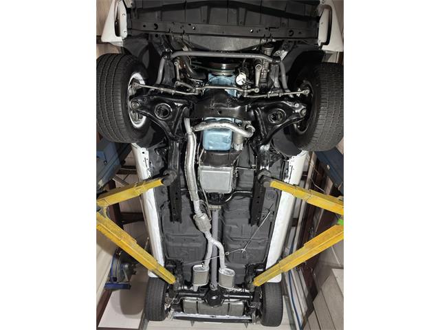 1981 Pontiac Firebird Trans Am (CC-1943064) for sale in Rockville, Maryland