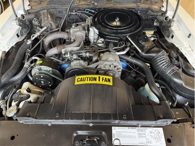 1981 Pontiac Firebird Trans Am (CC-1943064) for sale in Rockville, Maryland