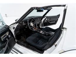 1981 Phillips Motor Car Berlina Coupe (CC-1943242) for sale in Montreal, Quebec