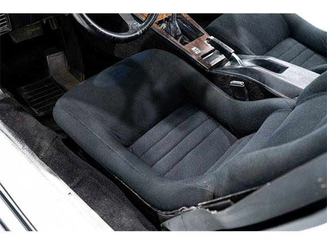 1981 Phillips Motor Car Berlina Coupe (CC-1943242) for sale in Montreal, Quebec
