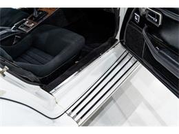 1981 Phillips Motor Car Berlina Coupe (CC-1943242) for sale in Montreal, Quebec