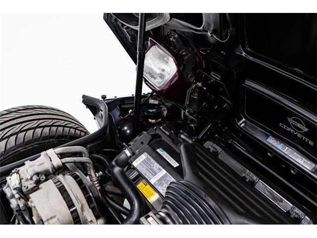 1995 Chevrolet Corvette (CC-1943297) for sale in Montreal, Quebec