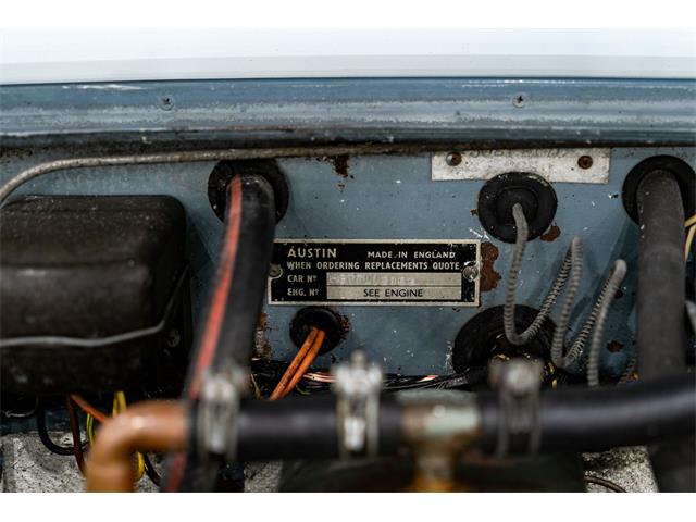 1960 Austin-Healey 3000 (CC-1943349) for sale in Montreal, Quebec