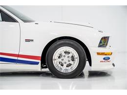 2008 Ford Mustang Cobra Jet (CC-1943375) for sale in Montreal, Quebec