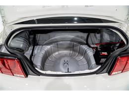 2008 Ford Mustang Cobra Jet (CC-1943375) for sale in Montreal, Quebec