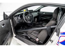 2008 Ford Mustang Cobra Jet (CC-1943375) for sale in Montreal, Quebec