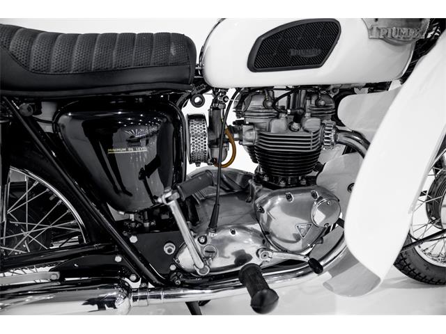 1968 Triumph Trophy TR6P Saint (CC-1943381) for sale in Montreal, Quebec