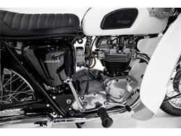 1968 Triumph Trophy TR6P Saint (CC-1943381) for sale in Montreal, Quebec