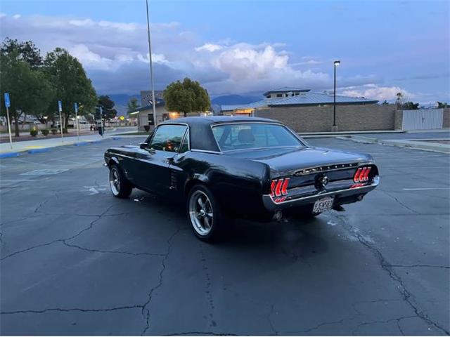 1967 Ford Mustang (CC-1943516) for sale in Cadillac, Michigan
