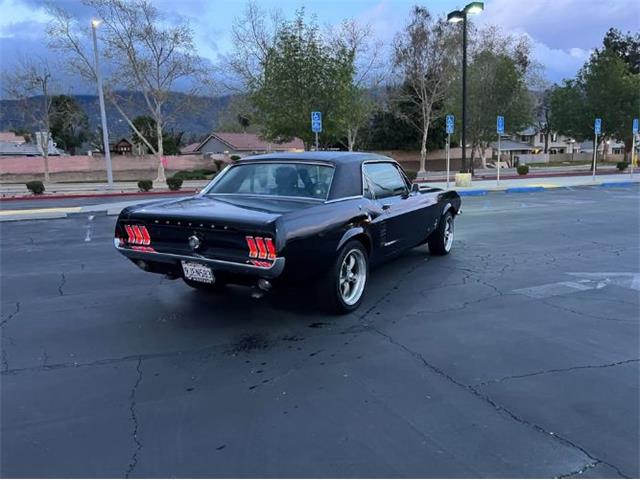 1967 Ford Mustang (CC-1943516) for sale in Cadillac, Michigan