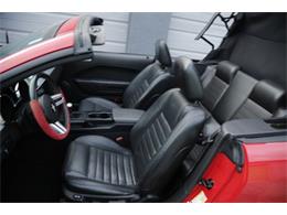 2006 Ford Mustang (CC-1944280) for sale in Fort Myers, Florida