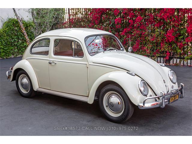 1963 Volkswagen Beetle (CC-1944332) for sale in Beverly Hills, California