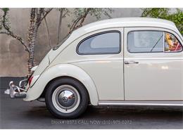 1963 Volkswagen Beetle (CC-1944332) for sale in Beverly Hills, California