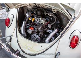 1963 Volkswagen Beetle (CC-1944332) for sale in Beverly Hills, California