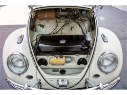 1963 Volkswagen Beetle (CC-1944332) for sale in Beverly Hills, California