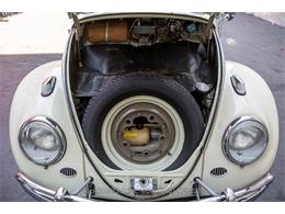 1963 Volkswagen Beetle (CC-1944332) for sale in Beverly Hills, California