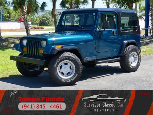 1995 Jeep Wrangler (CC-1944999) for sale in Palmetto, Florida