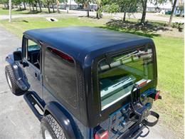 1995 Jeep Wrangler (CC-1944999) for sale in Palmetto, Florida