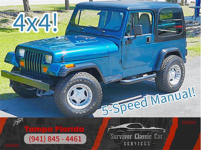1995 Jeep Wrangler (CC-1944999) for sale in Palmetto, Florida