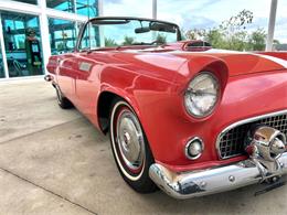 1956 Ford Thunderbird (CC-1945285) for sale in Bradenton, Florida