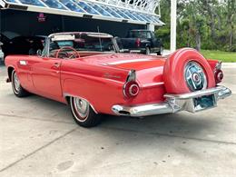 1956 Ford Thunderbird (CC-1945285) for sale in Bradenton, Florida