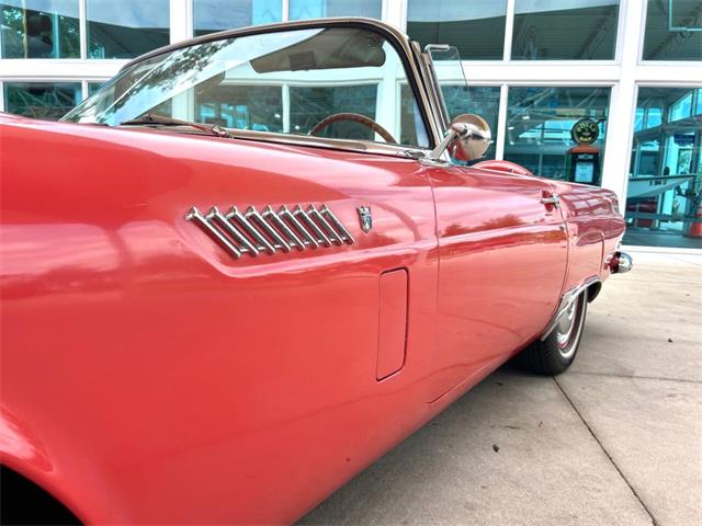 1956 Ford Thunderbird (CC-1945285) for sale in Bradenton, Florida