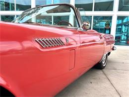 1956 Ford Thunderbird (CC-1945285) for sale in Bradenton, Florida
