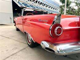 1956 Ford Thunderbird (CC-1945285) for sale in Bradenton, Florida