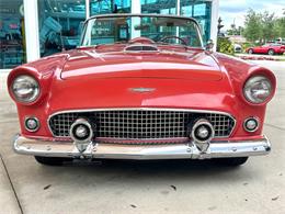 1956 Ford Thunderbird (CC-1945285) for sale in Bradenton, Florida