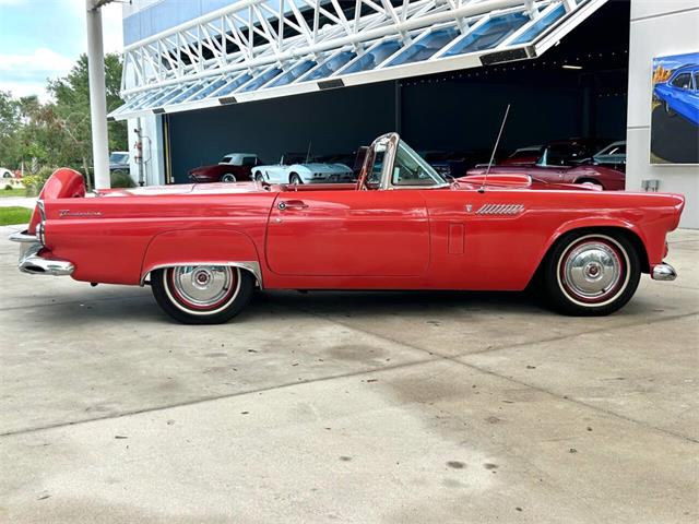 1956 Ford Thunderbird (CC-1945285) for sale in Bradenton, Florida