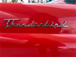 1956 Ford Thunderbird (CC-1945285) for sale in Bradenton, Florida