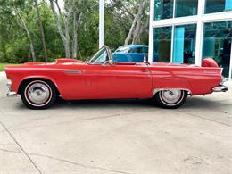 1956 Ford Thunderbird (CC-1945285) for sale in Bradenton, Florida