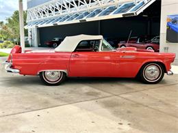 1956 Ford Thunderbird (CC-1945285) for sale in Bradenton, Florida