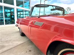 1956 Ford Thunderbird (CC-1945285) for sale in Bradenton, Florida
