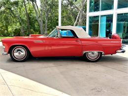 1956 Ford Thunderbird (CC-1945285) for sale in Bradenton, Florida