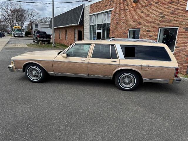 1988 Chevrolet Caprice (CC-1945302) for sale in Cadillac, Michigan