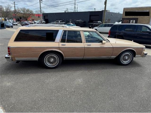 1988 Chevrolet Caprice (CC-1945302) for sale in Cadillac, Michigan