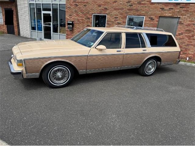 1988 Chevrolet Caprice (CC-1945302) for sale in Cadillac, Michigan