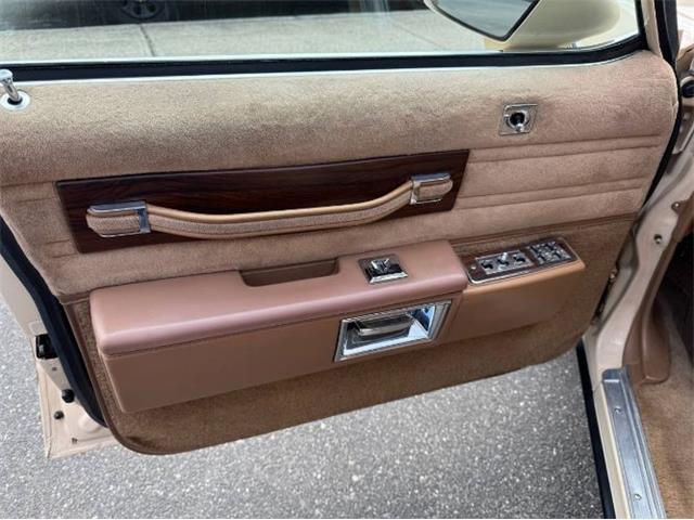 1988 Chevrolet Caprice (CC-1945302) for sale in Cadillac, Michigan