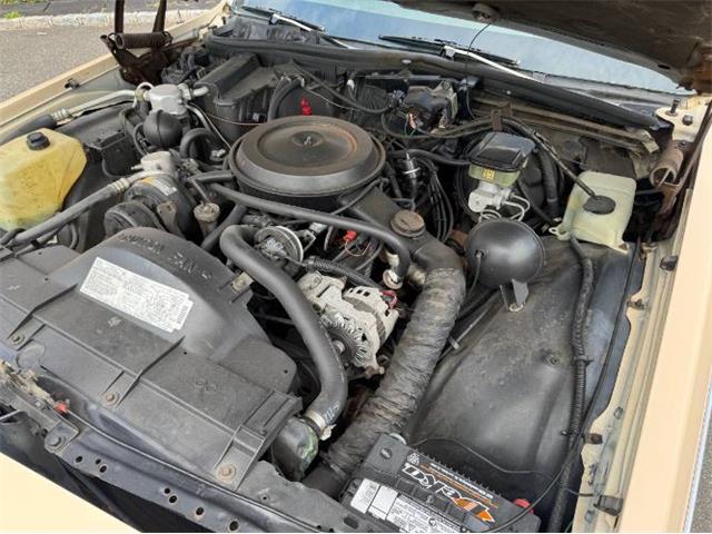 1988 Chevrolet Caprice (CC-1945302) for sale in Cadillac, Michigan