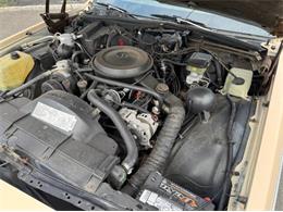 1988 Chevrolet Caprice (CC-1945302) for sale in Cadillac, Michigan