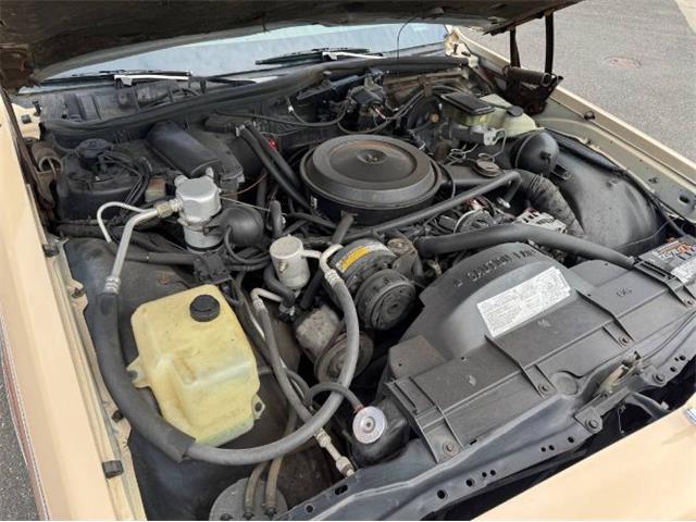 1988 Chevrolet Caprice (CC-1945302) for sale in Cadillac, Michigan